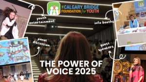 Recap of the Power of Voice 2025.